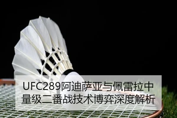 a-di-sa-ya-yu-pei-lei-la-zhong-liang-ji-er-fan-zhan-ji-shu-bo-yi-shen-du-jie-xi-2-519.jpg